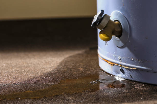 Best Basement water damage restoration  in Forest, OH