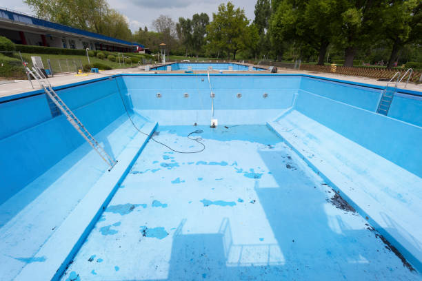 Best Water damage cleanup near me  in Forest, OH