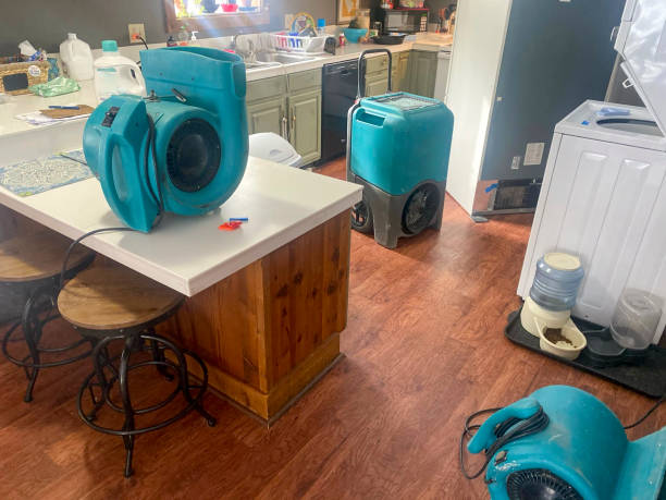Best Water damage restoration near me  in Forest, OH