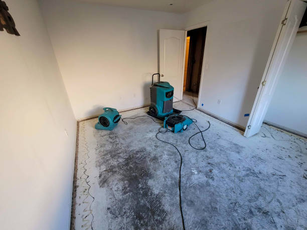 Best 24-hour water damage restoration  in Forest, OH