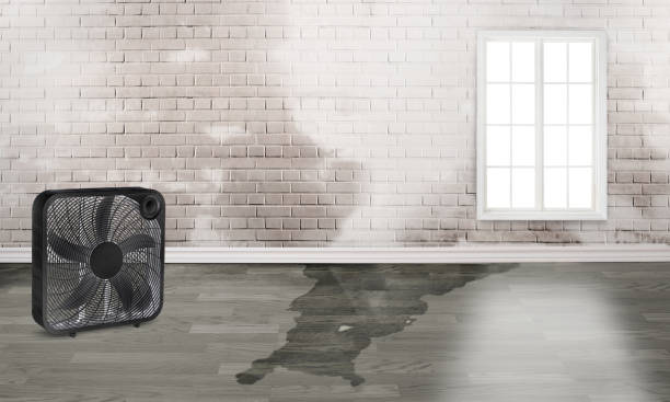 Forest, OH Water damage restoration Company