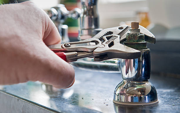 Best Flood restoration services  in Forest, OH