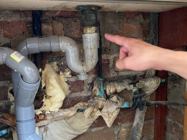 Best Emergency water damage restoration  in Forest, OH
