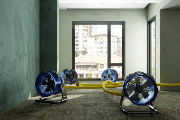 Best Flood restoration services  in Forest, OH